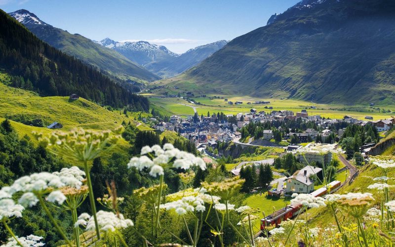Photo panoramique des alpes suisses verdoyants.