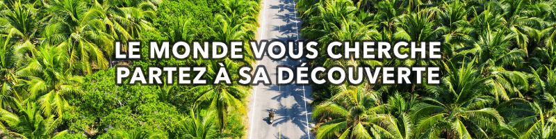 Une jungle avec un scooter sur une route au milieu.