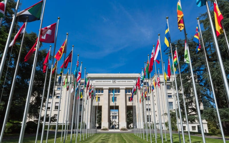 Entrée des nations unies en suisse avec tous les drapeaux du monde. 